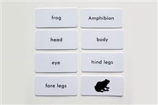 IFIT Montessori: Frog Label Cards for Animal Puzzle Activity Set