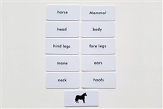IFIT Montessori: Horse Label Cards for Animal Puzzle Activity Set
