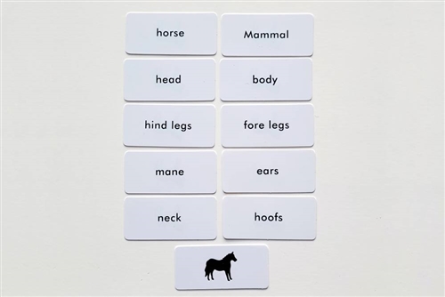 IFIT Montessori: Horse Label Cards for Animal Puzzle Activity Set