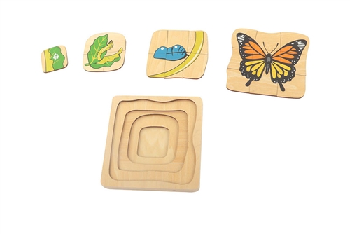 Butterfly Life Cycle Puzzle