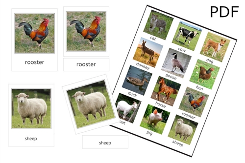 Farm Animals 3-Part Cards (PDF)