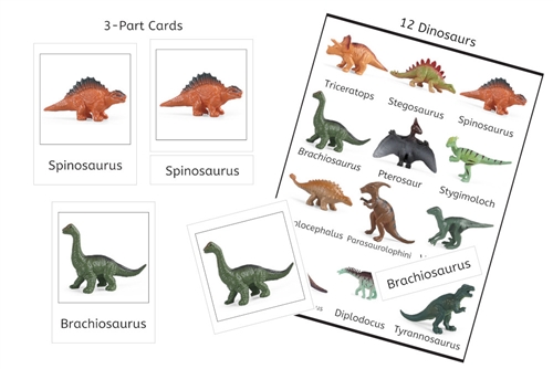 12 Dinosaurs 3-Part Cards (PDF)