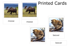 12 Animals of North America 3-Part Cards (Clearance)