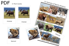 12 Animals of North America 3-Part Cards (PDF)