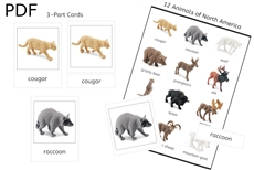 12 Animals of North America 3-Part Cards (PDF)