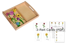 8 Flower Models with 2-Compartment Tray and PDF Cards