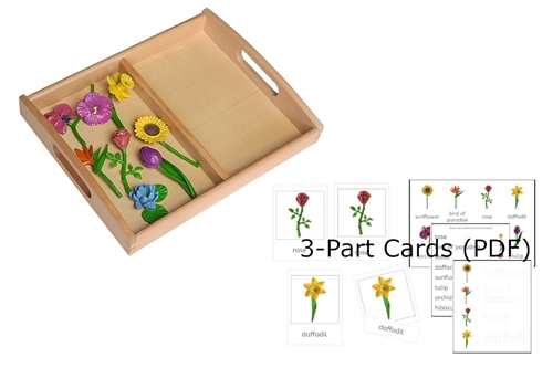 8 Flower Models with 2-Compartment Tray and PDF Cards
