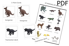 12 Animals of Australia 3-Part Cards (PDF)