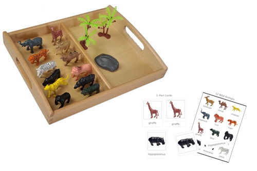 12 Wild Animal Models with Tray and Cards