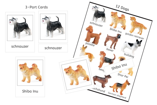 12 Dogs 3-Part Cards (PDF)