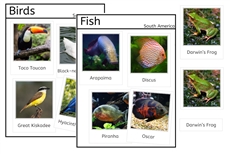 Vertebrates of South America (PDF)