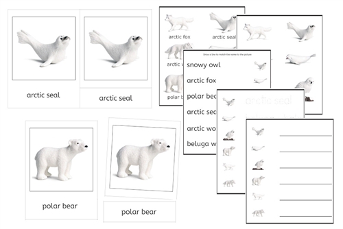 6 Arctic Animals 3-Part Cards and Worksheets (PDF)