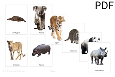 Mammals Flashcards - Small (PDF)