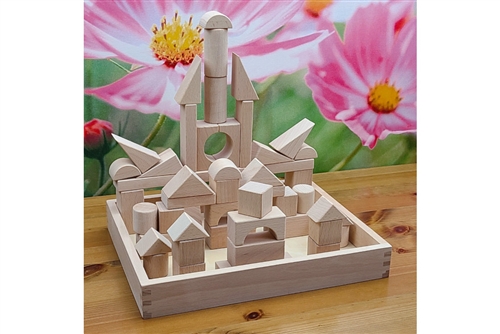 52 Wood Building Blocks with Tray