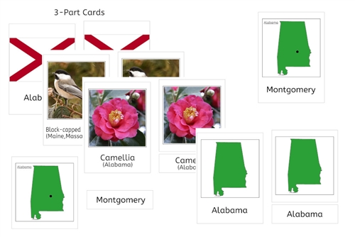 3-Part Cards Bundle of the USA (PDF)