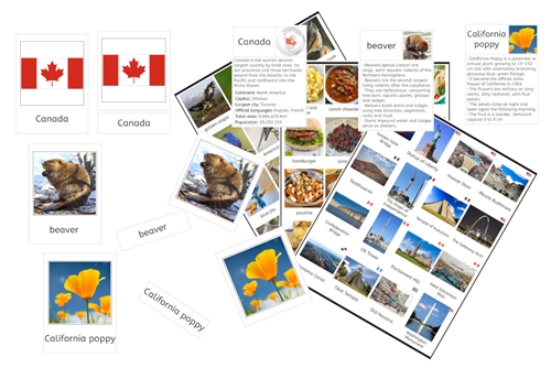 North America 4-Part Cards Bundle (PDF)