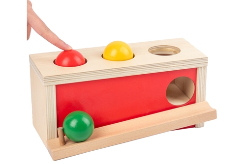 Wooden Ball Push Toy