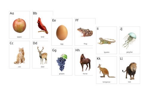 Small Alphabet Flashcards (PDF)