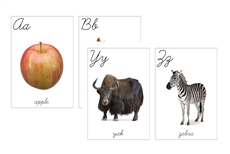 Large Cursive Alphabet Flashcards (PDF)