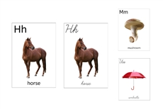 Alphabet Flashcards Bundle (PDF)