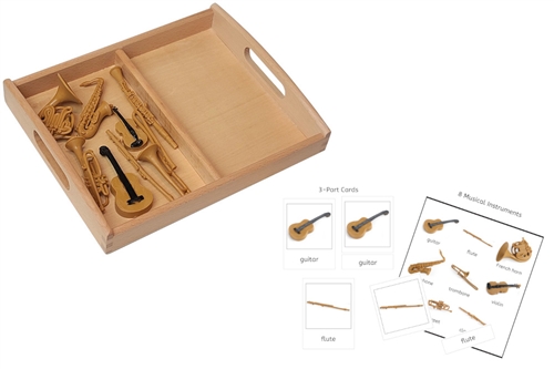8 Musical Instrument Models with 2-Compartment Tray and PDF Cards