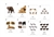 Animal Number Cards 1-20 (PDF)