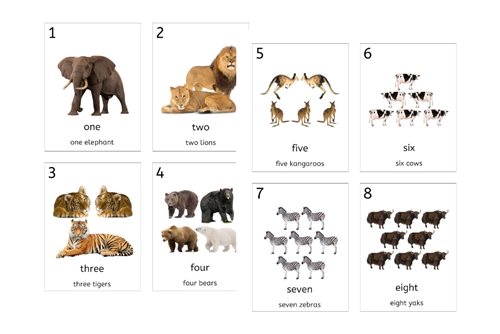 Animal Number Cards 1-20 (PDF)