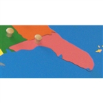 IFIT Montessori: Florida - Puzzle Piece of USA (Wood Knob)