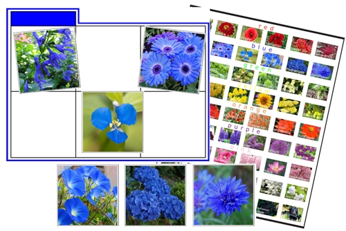Flower Color Sorting Cards (PDF)