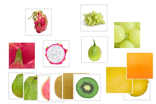 Fruit Matching Cards (PDF)