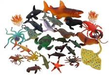 25 Marine Animals
