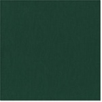 Bazzill - 12x12 Textured Cardstock Jade
