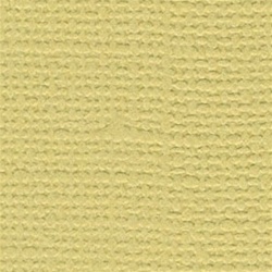 Bazzill - 12x12 Textured Cardstock Reed ( linen)