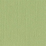 Bazzill - 12x12 Textured Cardstock Pear