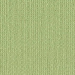 Bazzill - 12x12 Textured Cardstock Pear