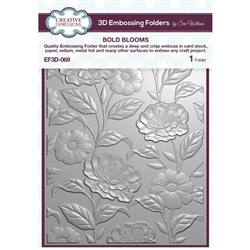 Creative Expressions - Bold Blooms 3D Embossing Folder 5X7