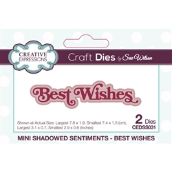 Creative Expressions - Shadowed Sentiments,  Best Wishses Mini Craft Dies