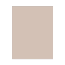 Hero Arts - Hero Hues Premium Cardstock 8.5X11 Pebble