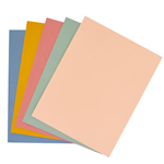 Spellbinders - Wildflower Assorted Pack Color Essentials Cardstock 8.5"x11" 10 Sheets