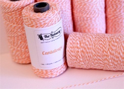 The Twinery - Baker's Twine 15 yd Canteloupe * new*