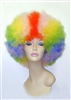 Costume Afro Wigs