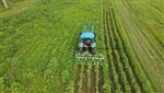 Badalini C4R30-5 Inter Row Tiller, Cultivator