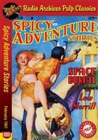 Spicy Adventure Stories eBook February 1941