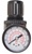 Miniature Air Regulator 1/8" Pipe Size, 19 Max SCFM, 5 to 100 PSI Range