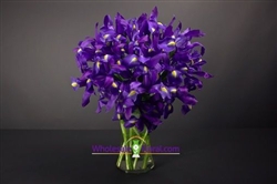 "Sapphire Stone" Iris Arrangement - Set of 12 (vases included)