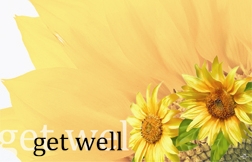 "Get Well" : Sunflower (Pack of 50 enclosure cards)