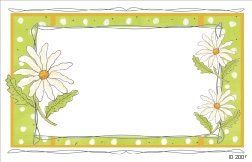 Drawn white daisies with green border (Pack of 50 enclosure cards)