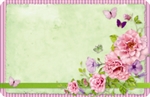 Green with flowers, butterflies, & pink border (Pack of 50 enclosure cards)