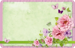 Green with flowers, butterflies, & pink border (Pack of 50 enclosure cards)