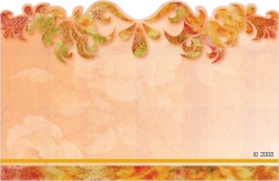 Orange with copper flourish border(Pack of 50 enclosure cards)